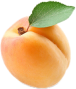 Apricots