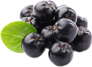 ARONIA