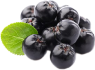 aronia