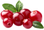 Cranberry