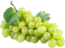 GRAPES