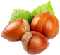 Hazelnut