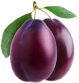 Plum