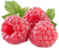 RASPBERRY