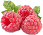 Raspberry