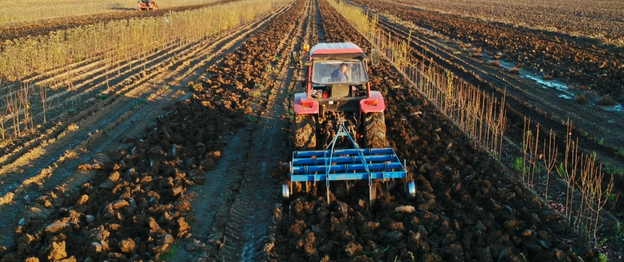 PREPARING THE SOIL