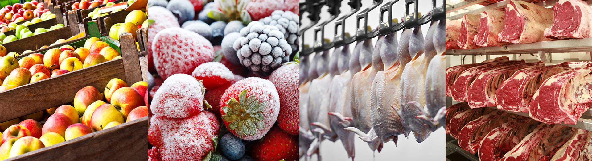 Fresh frozen fruit meat East Europe Serbia