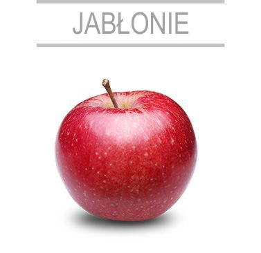 jablonie