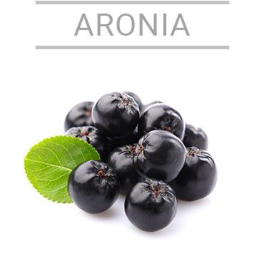 aronia