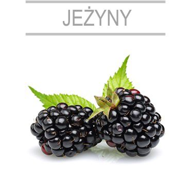 jeziny