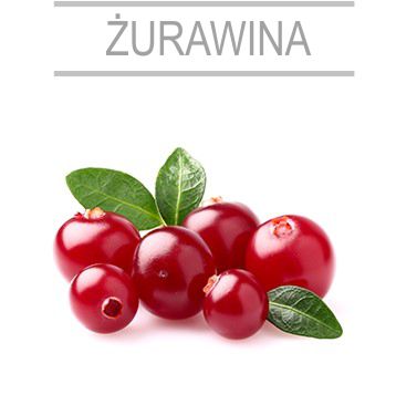 zurawina