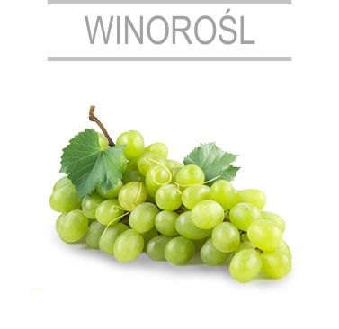 winorosl