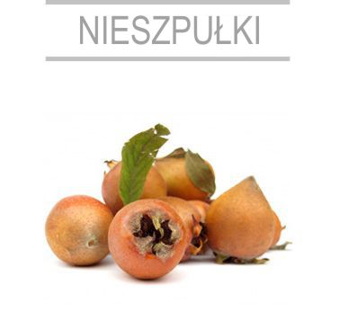 nieszpulki