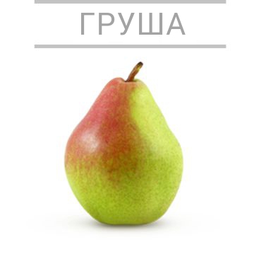 груша