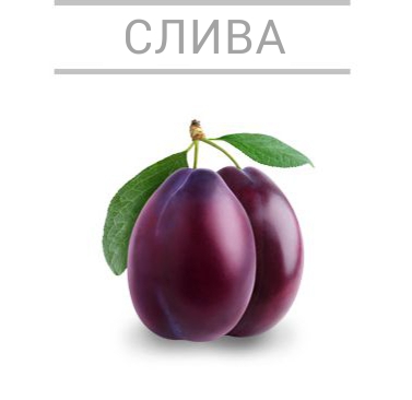 слива