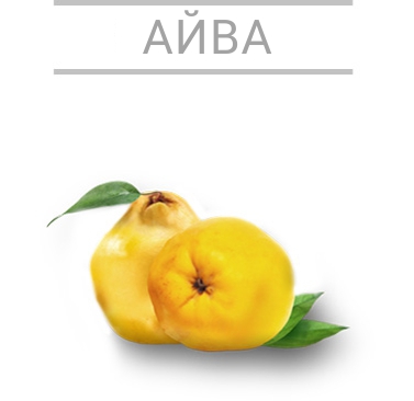 айва