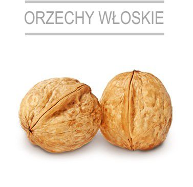 orzechy wloskie