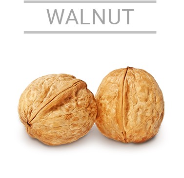 walnut